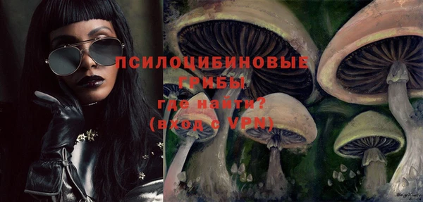 МДПВ Лагань