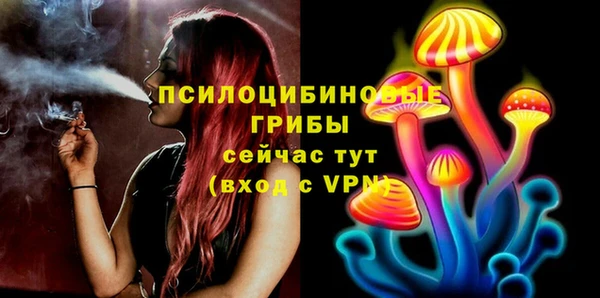 таблы Ладушкин