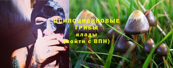 МДПВ Лагань