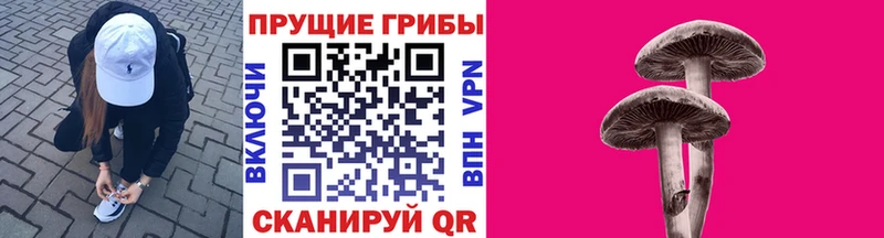 Галлюциногенные грибы прущие грибы  Купить где  Лабинск 